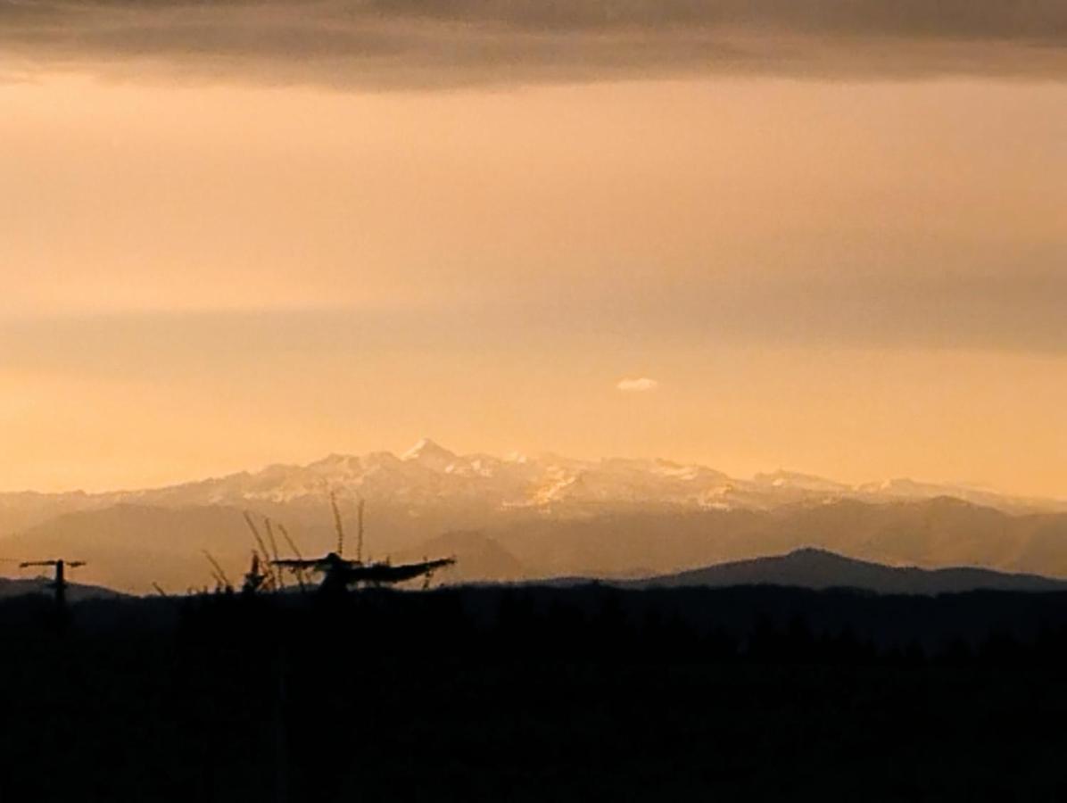 Bed and Breakfast La Coquille Pouillon Екстер'єр фото
